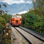 Il Treno dei Sapori rientra dalla valle Camonica attraverso i boschi