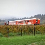 Il Treno dei Sapoti attraverso i vigneti della Franciacorta