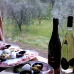 degustazione con vista