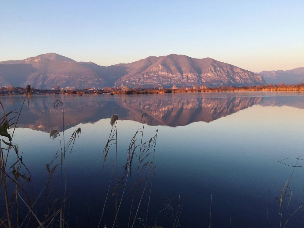 15823885_1233007360108836_119753475_o